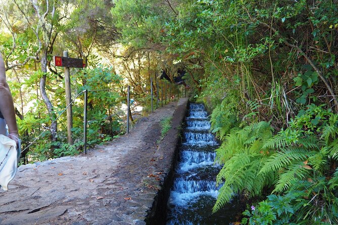 PR6 & PR6.1 25 Fontes & Risco Levada Self-Guided Hiking Rabaçal - Calheta and Ponta do Sol during the transfers, small view moments that add up