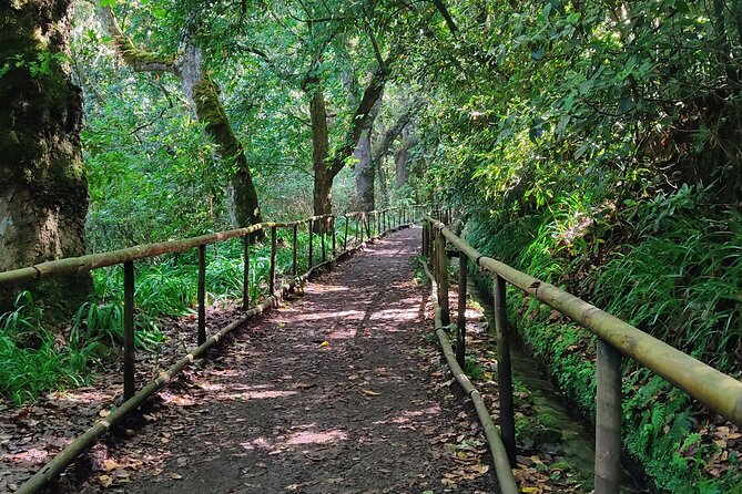 PR9 Caldeirão Verde Queimadas Levada Self-Guided Hiking Transfer - Key things to know before you hike Caldeirão Verde