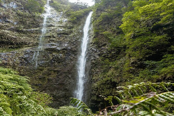 PR9 Caldeirão Verde Queimadas Levada Self-Guided Hiking Transfer - Costs and small fees: what your price does cover
