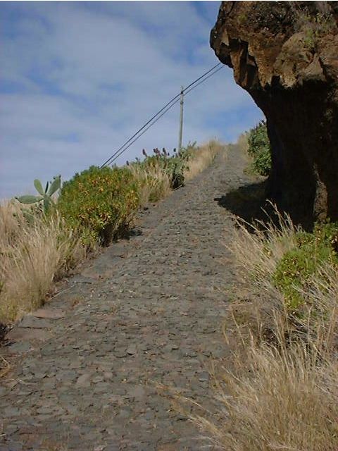 Prazeres: Full-Day Nature Walk - Key highlights to look for