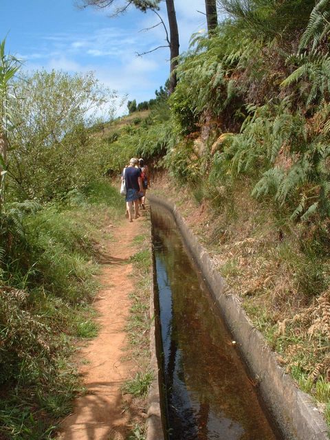Prazeres: Full-Day Nature Walk - Walking the Levada of Prazeres: gardens, agriculture, and meaning