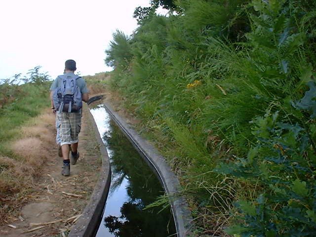 Prazeres: Full-Day Nature Walk - Price and value: what $48 buys you in Madeira time