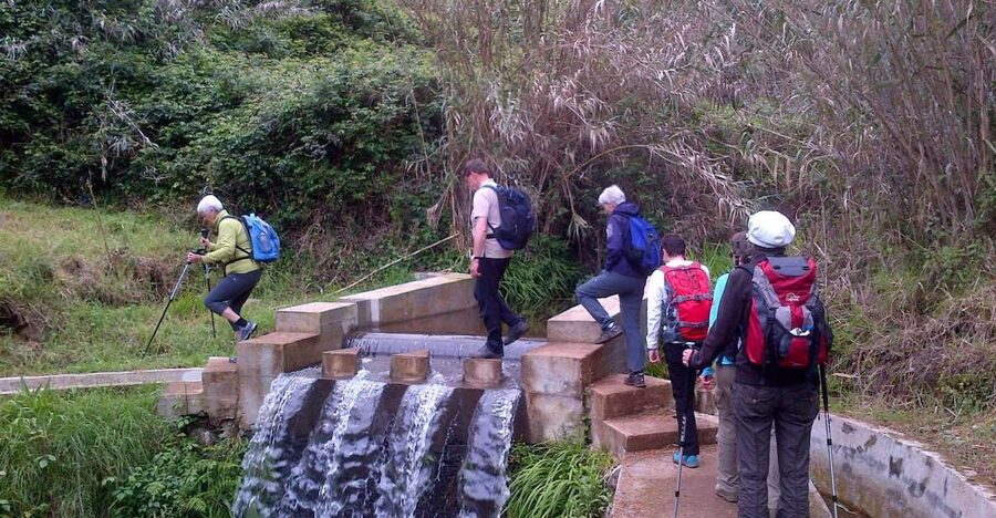 Prazeres: Full-Day Nature Walk - The start and the guided rhythm that keeps things smooth