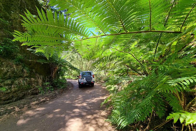 Private 4x4 Jeep Full Day Porto Moniz or Santana - Porto Moniz natural swimming pools, black sand coast, and waterfalls