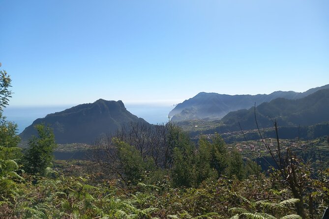 Private 4x4 Jeep Full Day to Santana or Porto Moniz - Pickup, timing, and how the day actually starts