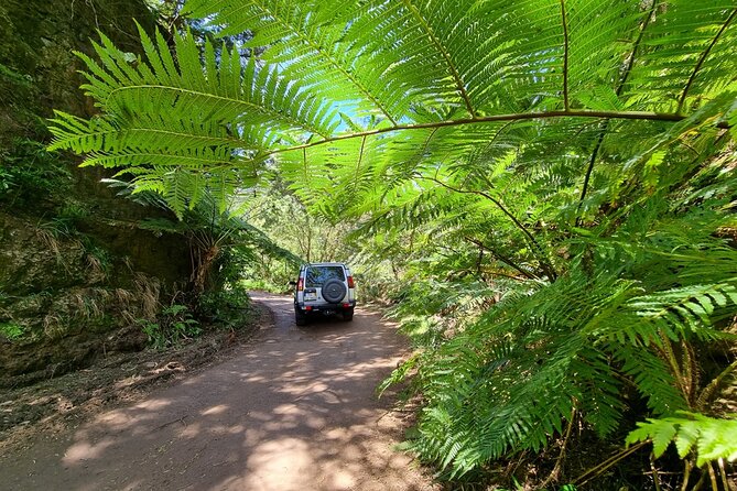 Private 4x4 Jeep Half Day - Picturesque Peaks, Vineyards, Skywalk - Cabo Girão glass platform: the 580 m sky moment