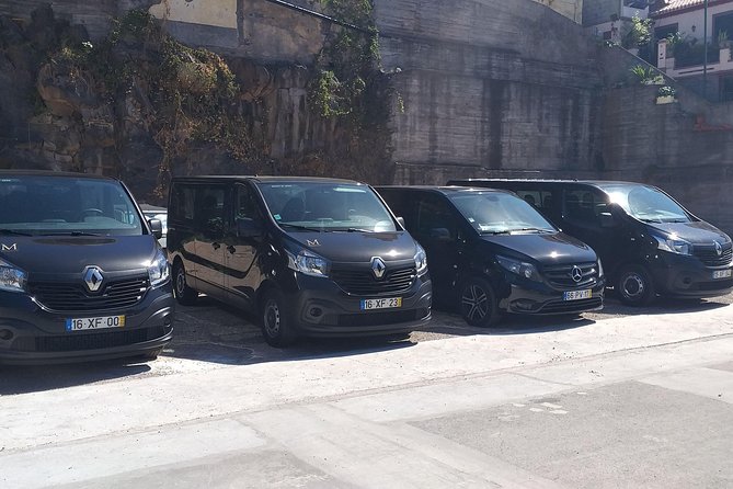 Private airport transfer to Funchal 8 people more return - Key things to know before you go