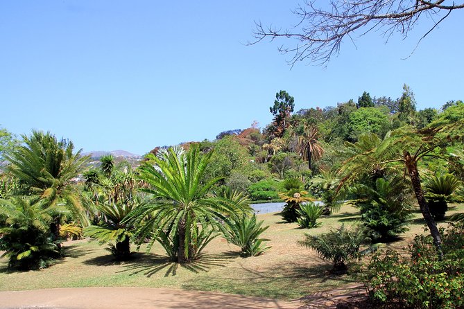 Private Botanical Garden Tour - Tuk-tuk Touring That Fits Funchal’s Steep Streets
