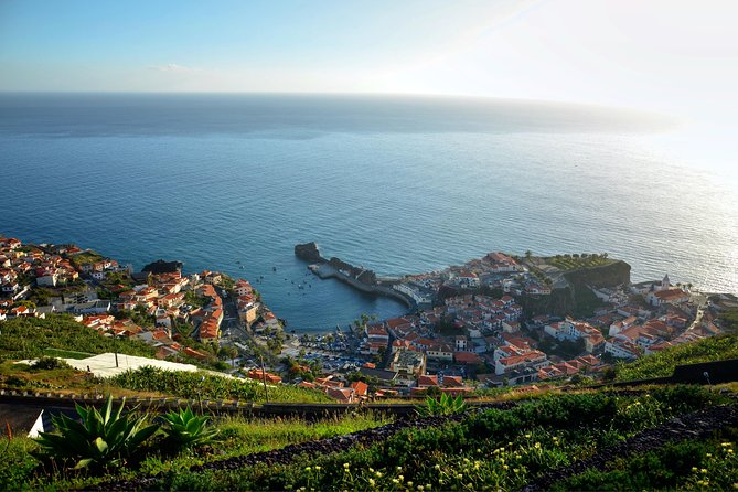 Private Câmara de Lobos Fishing Village Tour - Start Times and Language: Make It Fit Your Day