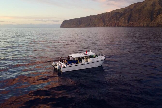 Private Cruise to Calheta and Caniçal Coasts - Caniçal route: north side views with a different personality