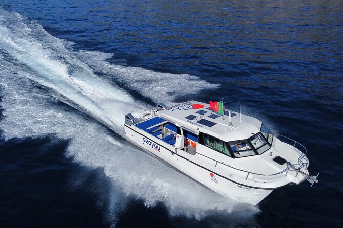 Private Cruise to Calheta and Caniçal Coasts - What you’ll see, in plain terms