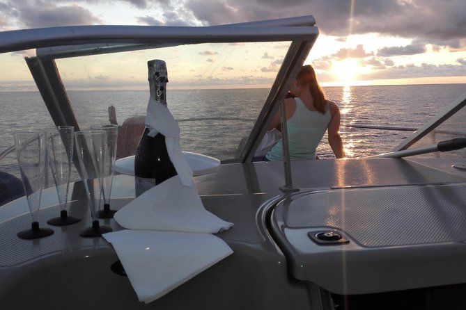 Private Dolphin and Whale Watching Tour in Madeira - Key points before you go