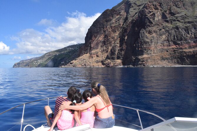 Private Dolphin and Whale Watching Tour in Madeira - Price and Value: Why $592.56 Can Make Sense for Up to Five