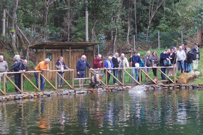Private Full Day 4X4 Experience: East or West - Porto Moniz natural volcanic swimming pools, volcanic and refreshing