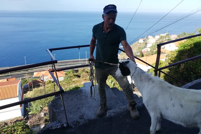 Private Full-Day - Comfort 4x4 Tour - NorthWest - The morning start: Funchal to the southwestern coast (Funchal, Campanario, Ribeira Brava)