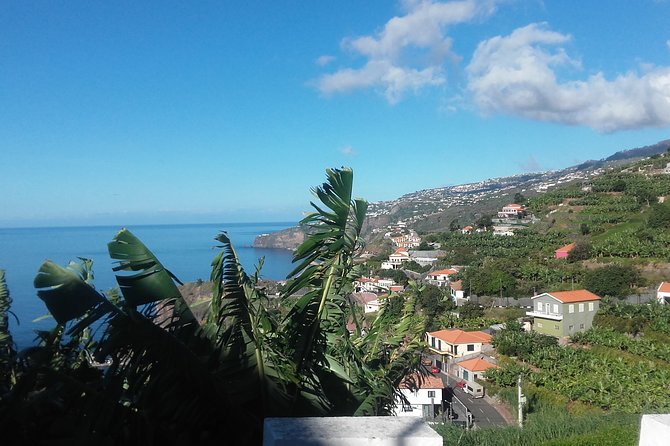 Private Full-Day - Comfort 4x4 Tour - NorthWest - Cliffs, farms, and sea-level-to-plateau climbing (Tabua, Ponta do Sol, Bica da Cana)