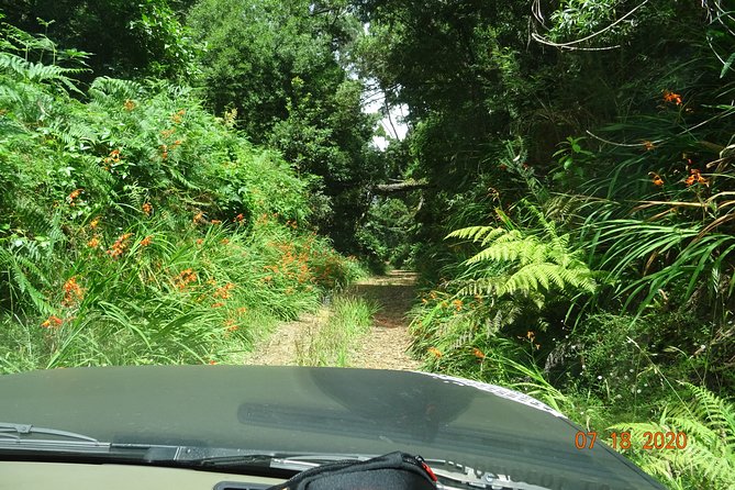 Private Full Day Off-Road Tour in Madeira - How customization affects your day, including crowd pressure
