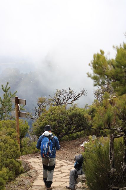 Private - Gastro Hike with Levada Walk and Local Food - Key highlights worth planning for