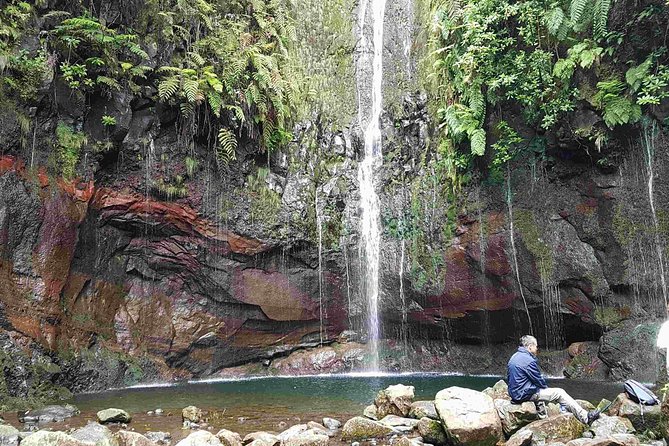 Private Guided Walk Levada 25 Fontes - Why the 25 Fontes Levada feels like Madeira’s water-and-woods outing
