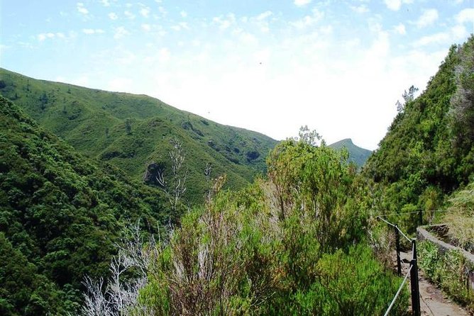 Private Guided Walk Levada 25 Fontes - Hotel pickup across Madeira, then straight onto the levada trail
