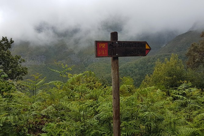 Private Guided Walk Levada 25 Fontes - Price and value: what you pay for with $107.84 per person