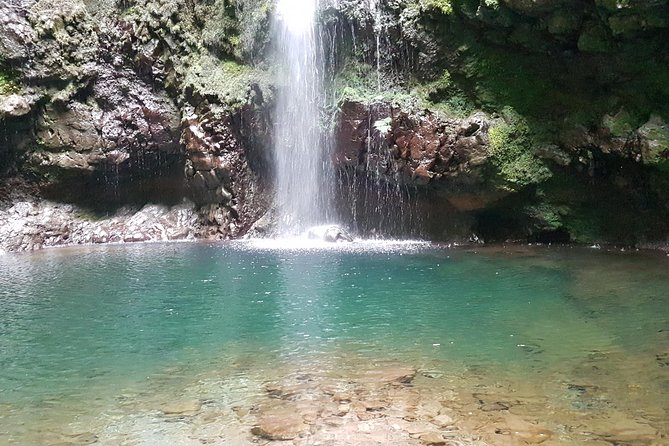 Private Guided Walk Levada Caldeirao Verde - UNESCO Laurisilva forest, and what you’ll notice with a guide
