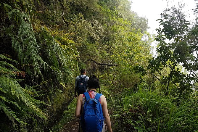 Private Guided Walk Levada Caldeirao Verde - Pickup, private transport, and why it changes your day