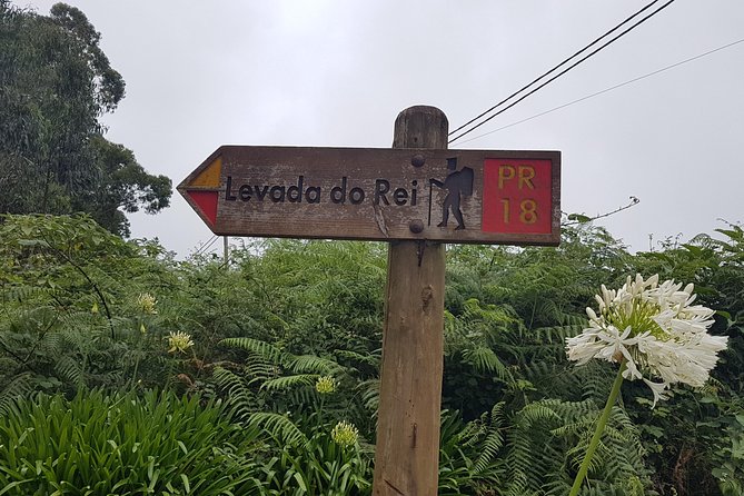 Private Guided Walk Levada do Rei - Private pickup from Funchal, then straight into Laurissilva