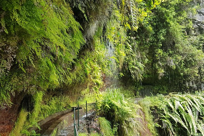 Private Guided Walk Levada do Rei - Meeting the levada system, 10 km of water-channel country