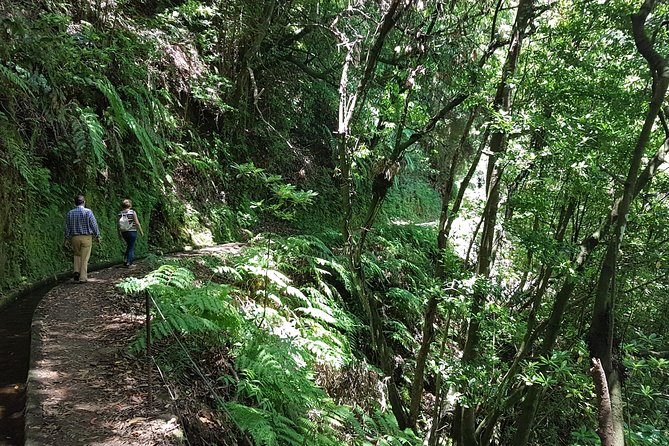 Private Guided Walk Levada do Rei - Price and value: what $80.67 per person really buys