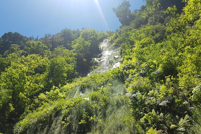 Private Guided Walk Levada do Rei - With a guide, you walk smarter, not just farther