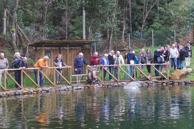 Private Half-Day 4X4 Experience: East or West - Valley of the Nuns (Curral das Freiras): history-meets-mountains