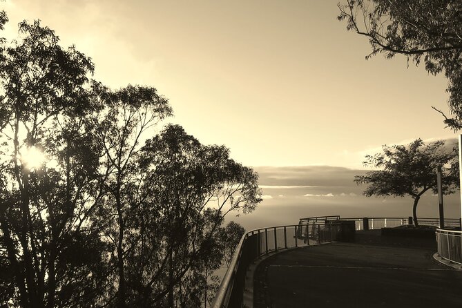 Private Half-Day Morning 4x4 Tour from Funchal - Faja dos Padres: A Sea-Side Viewpoint With Real Texture