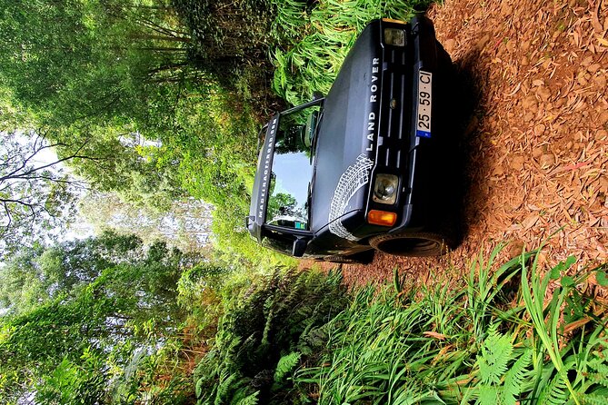 Private Half Day Off Road Tour in Madeira - Câmara de Lobos, banana fields, and the eucalyptus forest of Quinta Grande