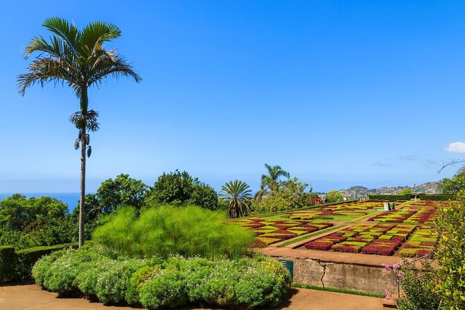 Private Half day tour around Madeira Island - Key points to know before you go