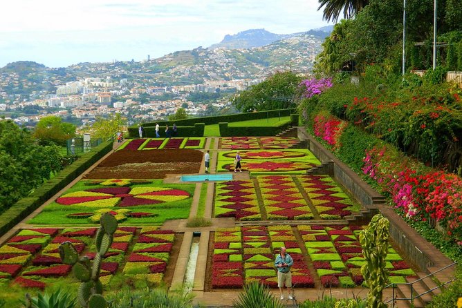 Private Half day tour around Madeira Island - A guide like Diogo or Ricardo turns driving time into sightseeing time