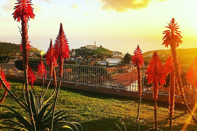 Private Half day tour around Madeira Island - Stop 4: Camara de Lobos, fishing village charm, and Churchill’s connection