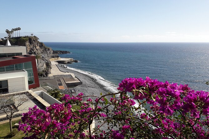 Private Half-Day Tour of Wine Fields in Portugal - Facts on Madeira, plus the fun stuff you might miss