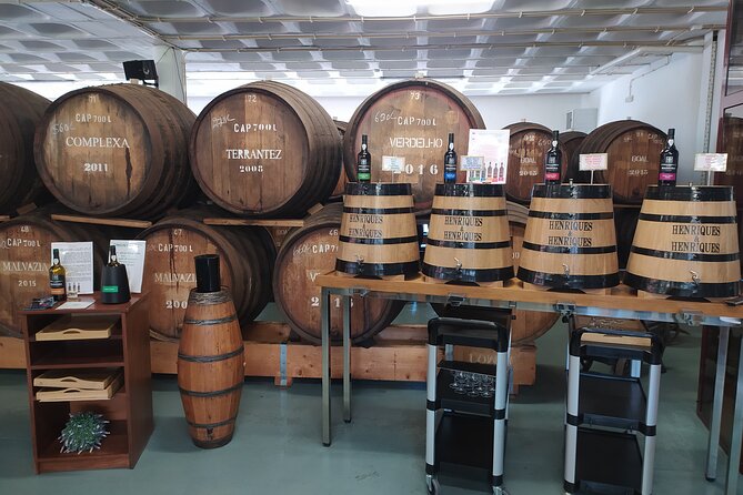Private Half-Day Tour of Wine Fields in Portugal - Price and value: what you are really paying for