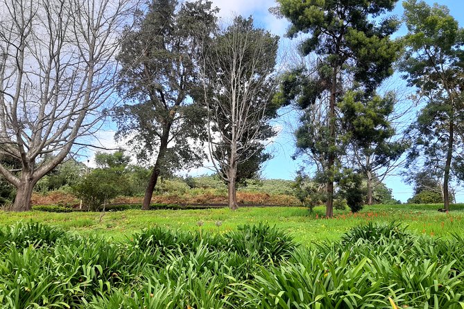 Private Halfday Flower Palheiro Gardens Tour - Who this tour is perfect for, and who should rethink it