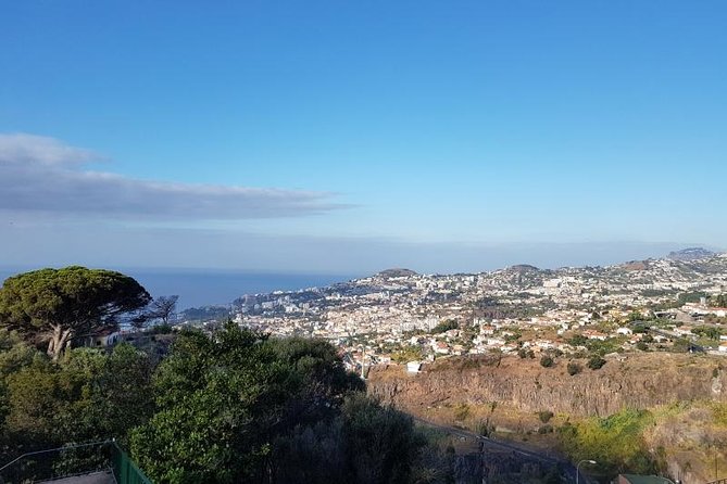 Private Halfday Madeira Garden Tour - Why the private format is where the value is
