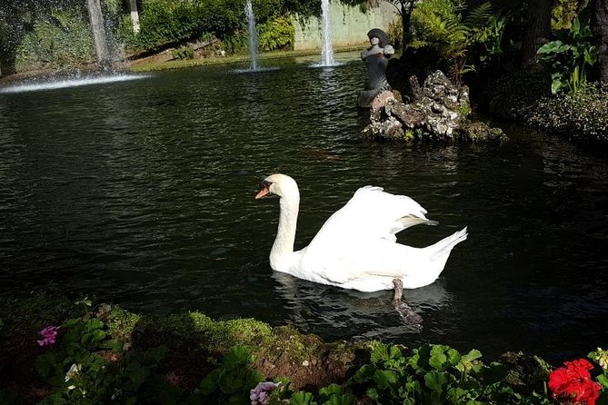 Private Halfday Madeira Garden Tour - Birds and photos: how to get the most out of the garden time
