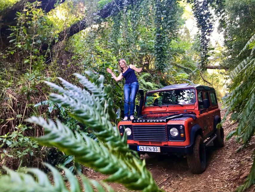 Private Jeep Tour West-Side Natural Pools - São Vicente: Wine Tasting or Poncha, Then Back with Big Views