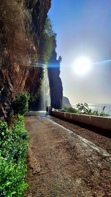Private Madeira Highlights Full Day Tour - Fanal Forest: Why This Stop Feels Like a Reset