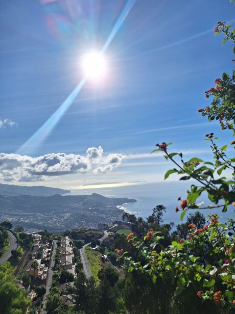 Private Madeira Highlights Full Day Tour - São Vicente Poncha and Wine Tasting, plus Véu da Noiva Views