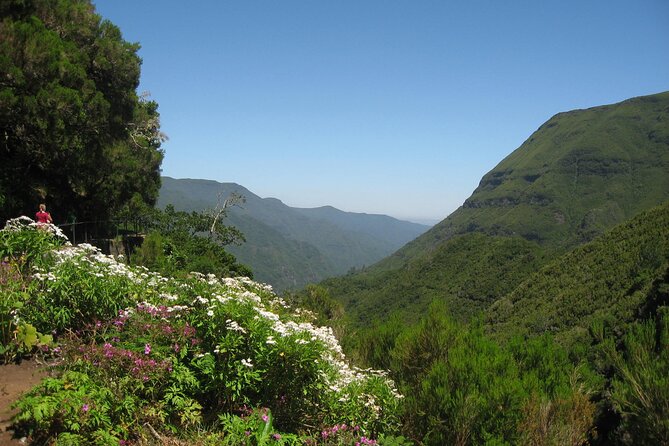 Private Madeira tour 8 people - Stop 1 Madeira: what your day is shaped to feel like
