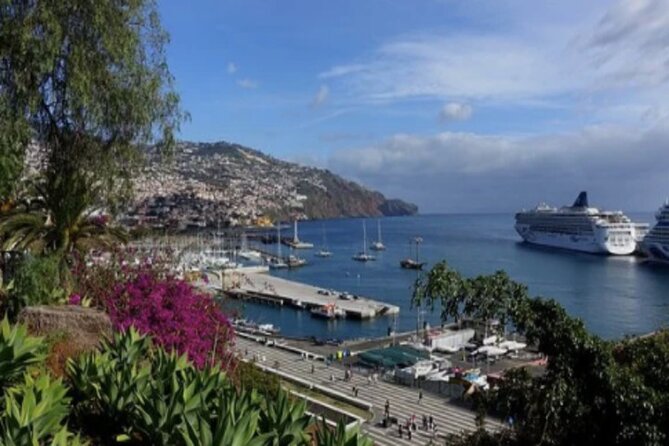 Private: Maderia Island Tour & Famous Monte Toboggan Ride - Camara de Lobos: a fishing village feel with poncha in the middle