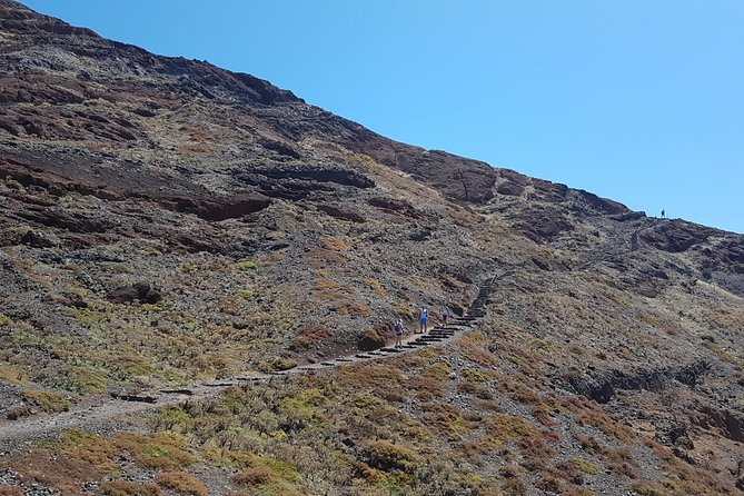Private Ponta São Lourenço Walk and Boat Return - Getting from Funchal to the start, with pickup that keeps your day calm