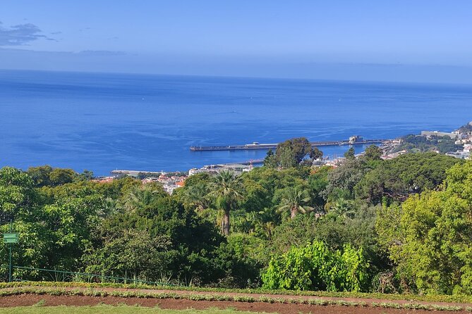 Private Sidecar Tour – Downtown Funchal for 1 or 2 People - Miradouro do Pináculo: the 20-minute pause that makes the day