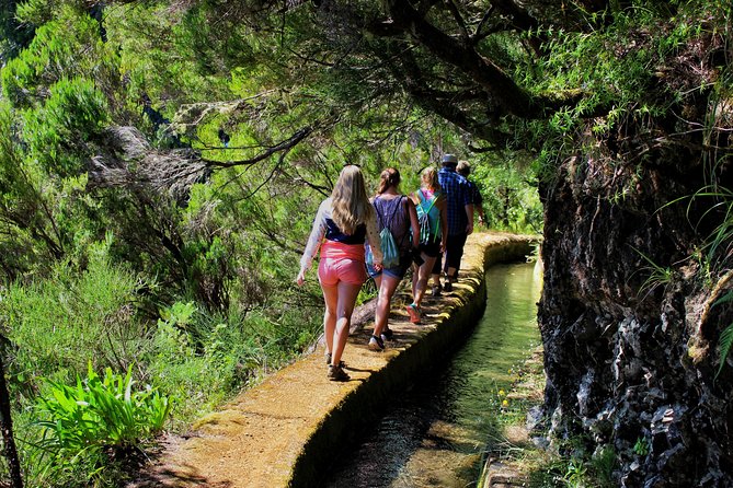 Private Small Group Full Day 4x4 Tour in Northwest Madeira - Pickup in Funchal: Included, Selected Hotels, and the Cruise Dock Fee